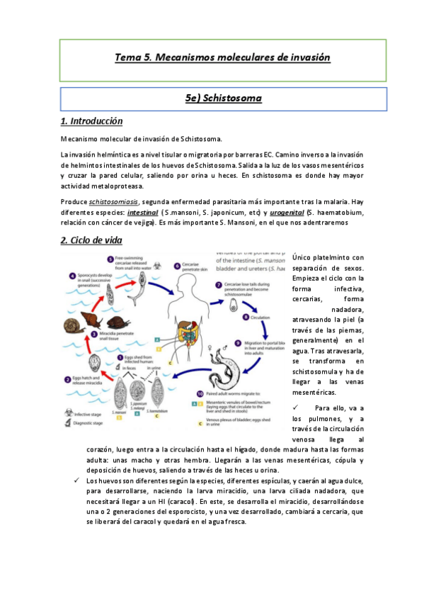 Miniatura del documento Tema-5e.pdf