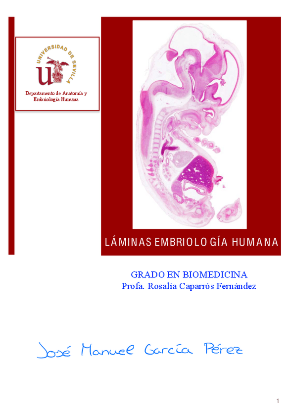 Miniatura del documento Laminas-Embriologia-Corregidas.pdf