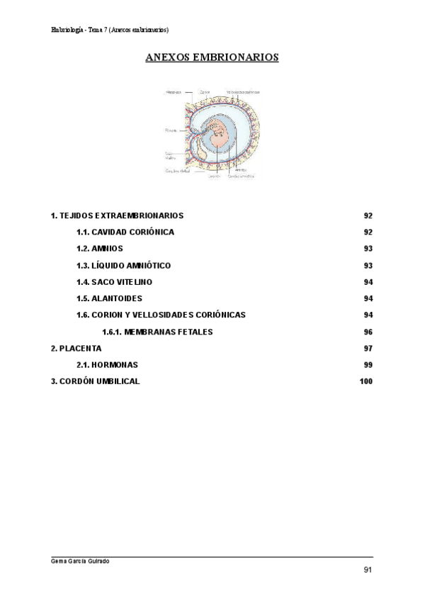 Miniatura del documento TEMA-7-ANEXOS-EMBRIONARIOS-EMBRIOLOGIA.pdf