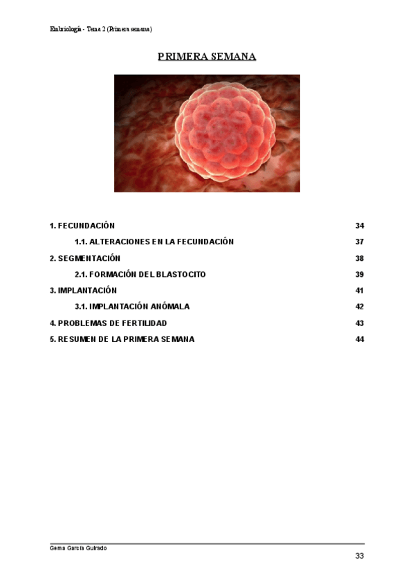 Miniatura del documento TEMA-2-PRIMERA-SEMANA-EMBRIOLOGIA.pdf