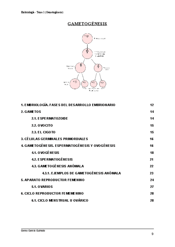 Miniatura del documento TEMA-1-GAMETOGENESIS-EMBRIOLOGIA.pdf