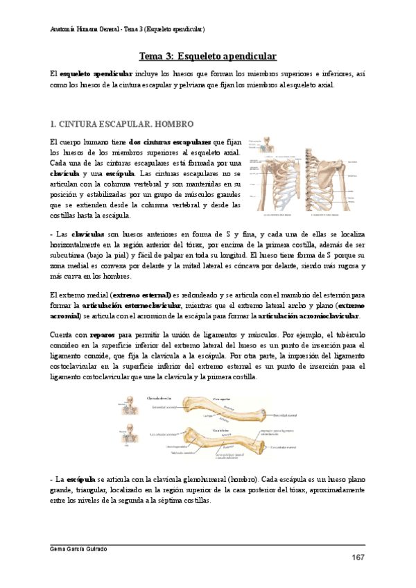 Miniatura del documento TEMA-4-ESQUELETO-APENDICULAR-ANATOMIA-HUMANA-GENERAL.pdf