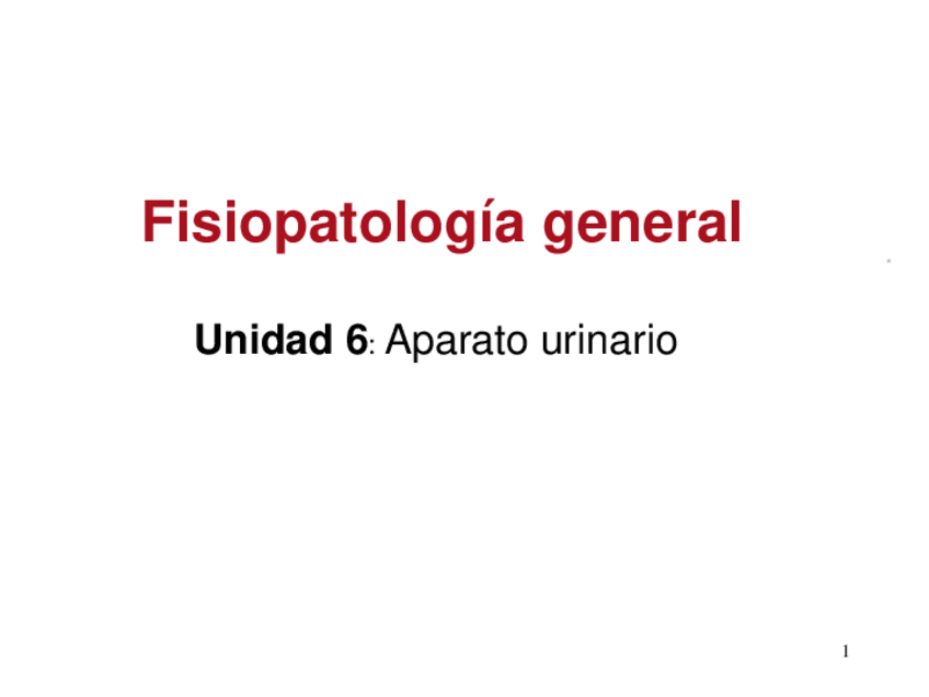 Miniatura del documento UD-6.pdf