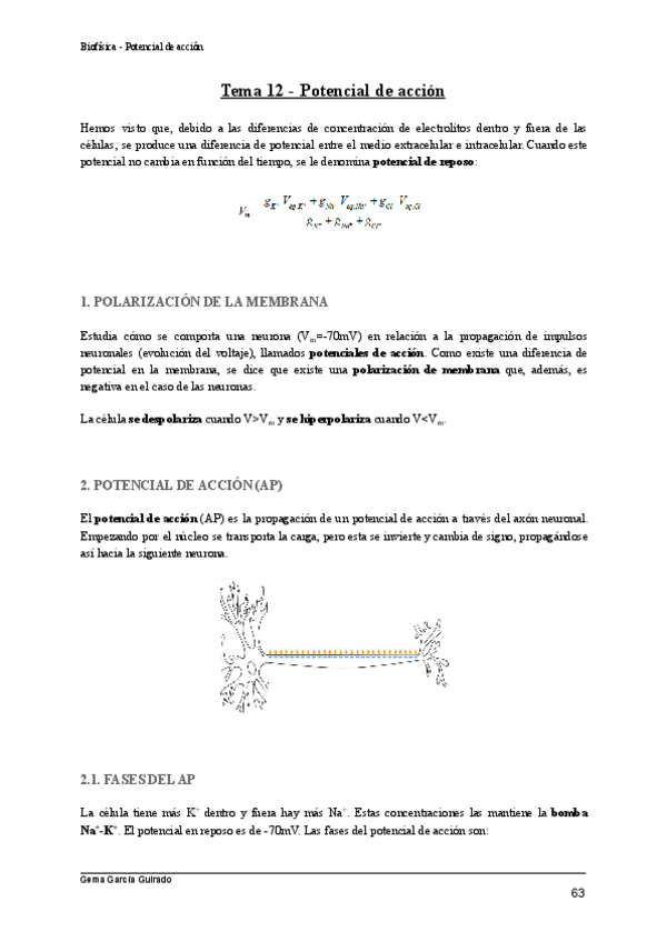 Miniatura del documento TEMA-12-POTENCIAL-DE-ACCION-BIOFISICA.pdf