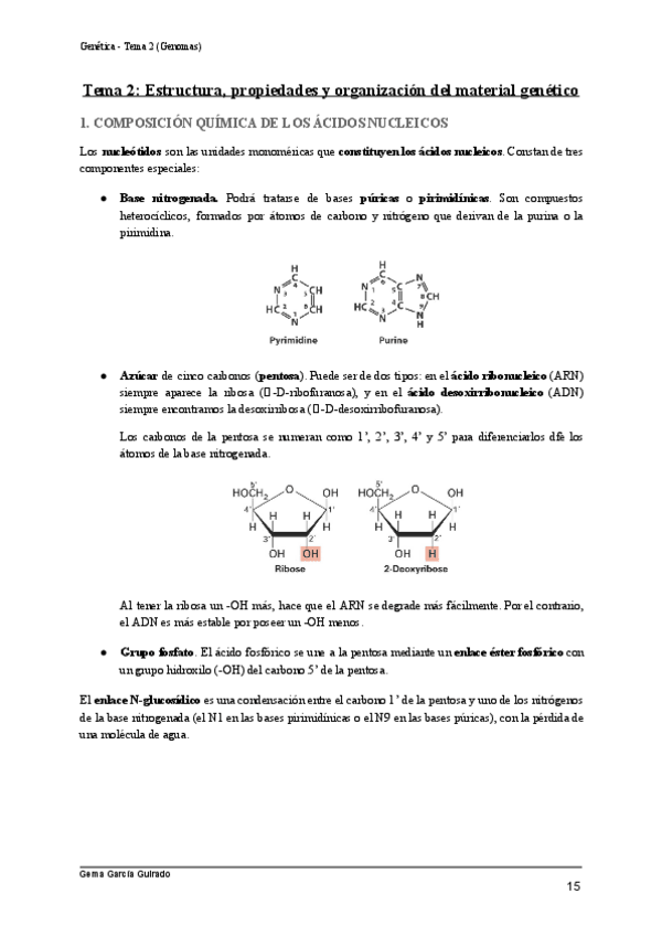 Miniatura del documento TEMA-2-ESTRUCTURA-PROPIEDADES-Y-ORGANIZACION-DEL-MATERIAL-GENETICO-GENETICA.pdf