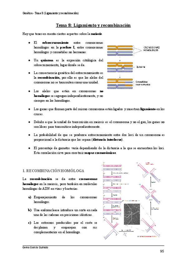 Miniatura del documento TEMA-8-LIGAMIENTO-Y-RECOMBINACION-GENETICA.pdf