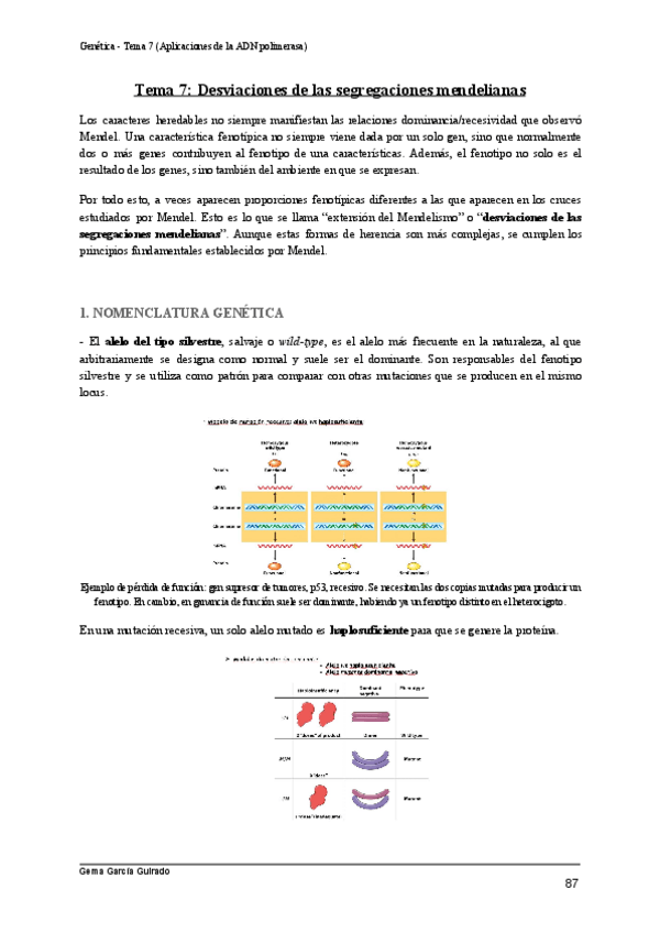 Miniatura del documento TEMA-7-APLICACIONES-DE-LA-ADN-POLIMERASA-GENETICA.pdf