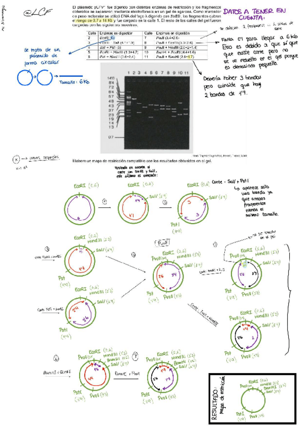Miniatura del documento TAREA-11page-0001.pdf