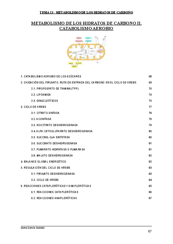 Miniatura del documento TEMA-13-METABOLISMO-DE-LOS-HIDRATOS-DE-CARBONO-II.pdf