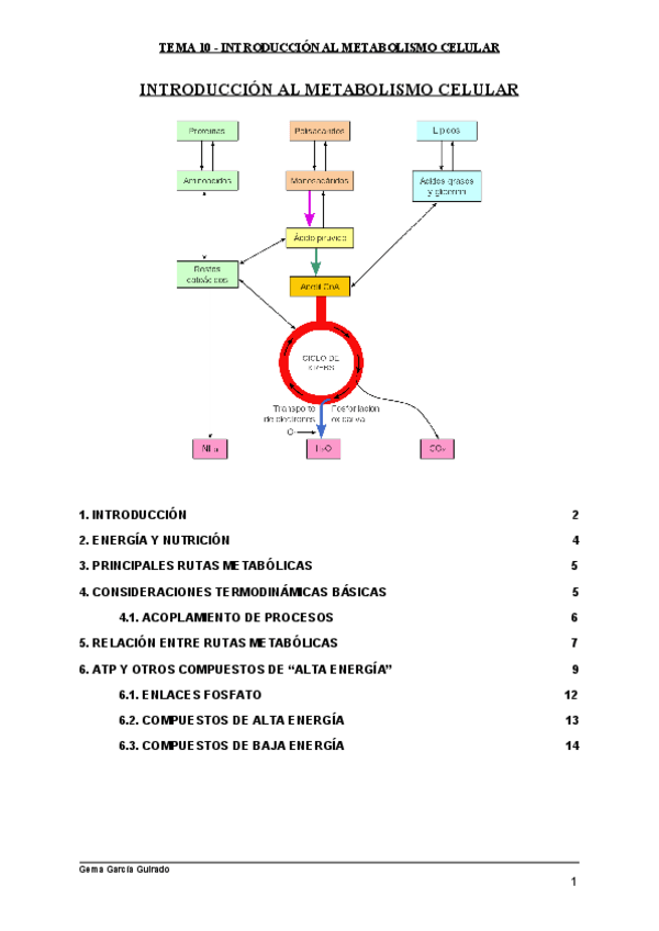 Miniatura del documento TEMA-10-INTRODUCCION-AL-METABOLISMO-CELULAR-BIOQUIMICA.pdf