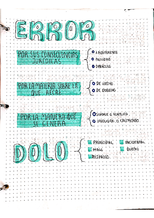 Miniatura del documento error-y-dolo.pdf