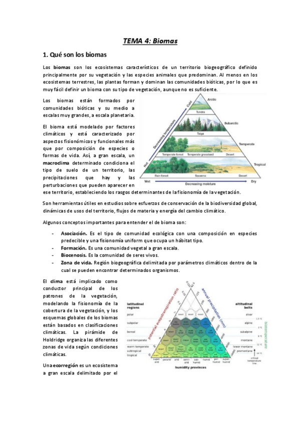 Miniatura del documento 4.pdf