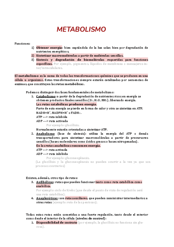 Miniatura del documento Metabolismo.pdf