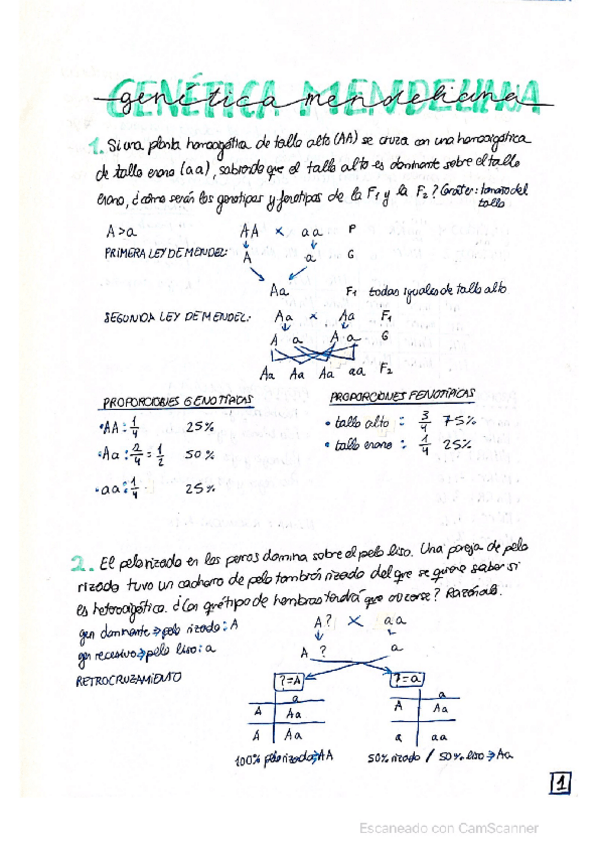 Miniatura del documento Ejercicios-Genetica-Mendeliana.pdf