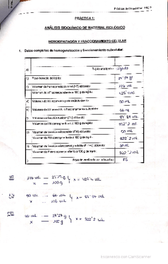 Miniatura del documento cuaderno-practicas-BQ-II-2.pdf