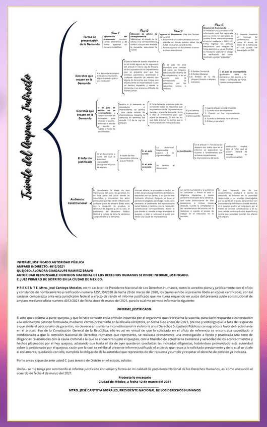 Miniatura del documento TRAMITE-DEL-AMPARO-INDIRECTO.pdf