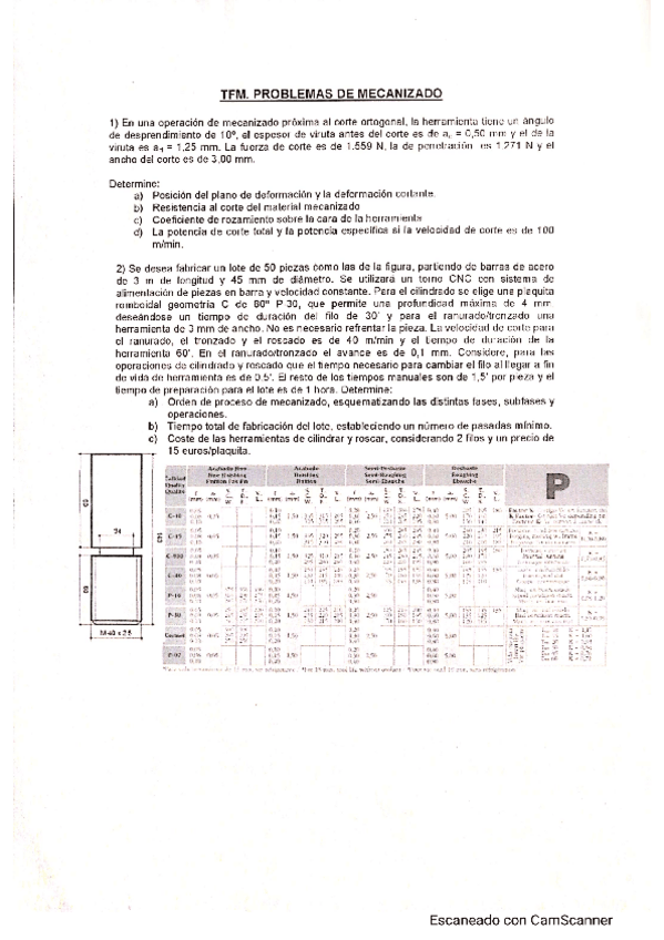 Miniatura del documento TFM.pdf