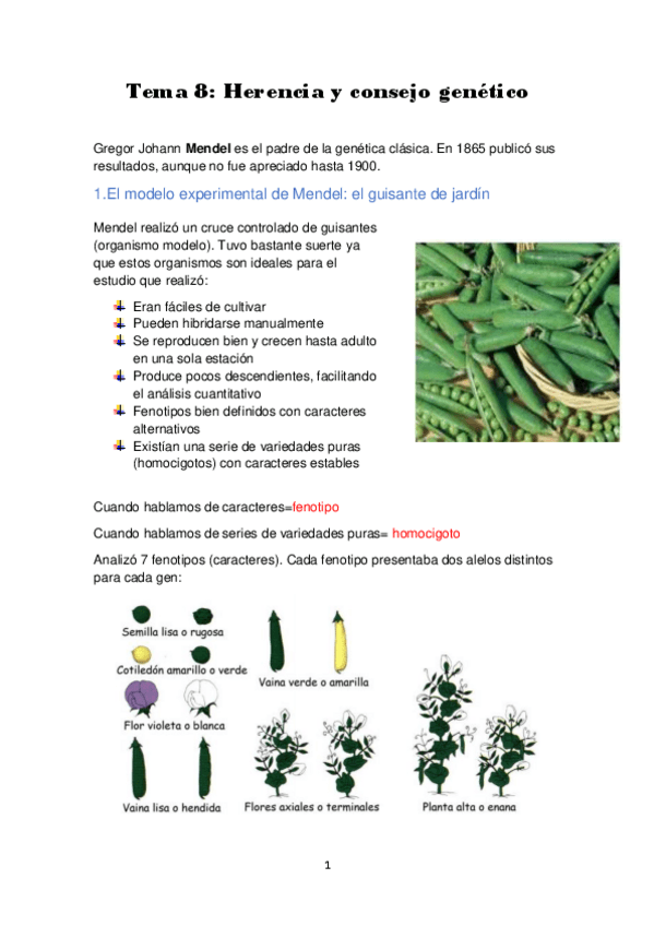 Miniatura del documento TEMA-8-HERENCIA-Y-CONSEJO-GENETICO.pdf