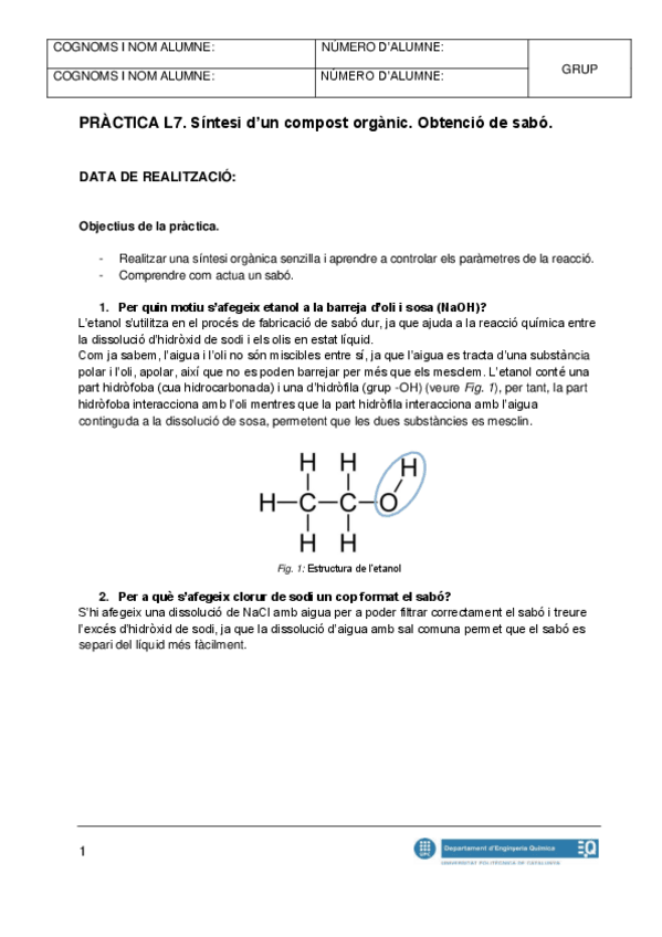 Miniatura del documento Practica-L7-Sintesi-dun-compost-organic.pdf