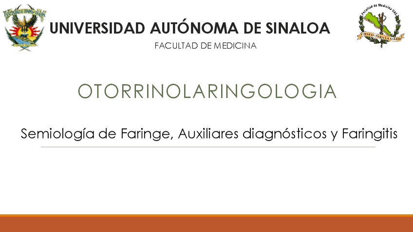 Miniatura del documento Faringe.pdf