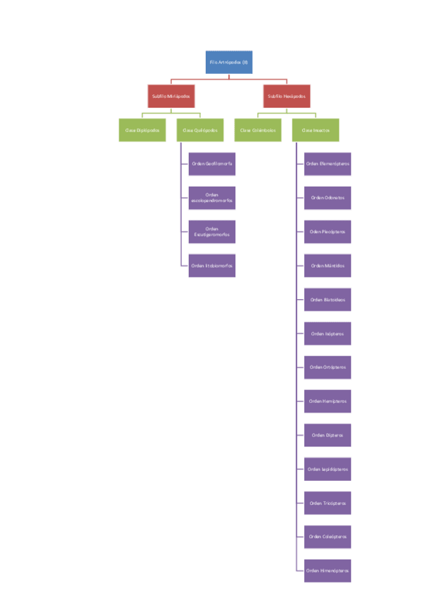 Miniatura del documento Mapa-conceptual-claves-FILO-ARTROPODO-II.pdf