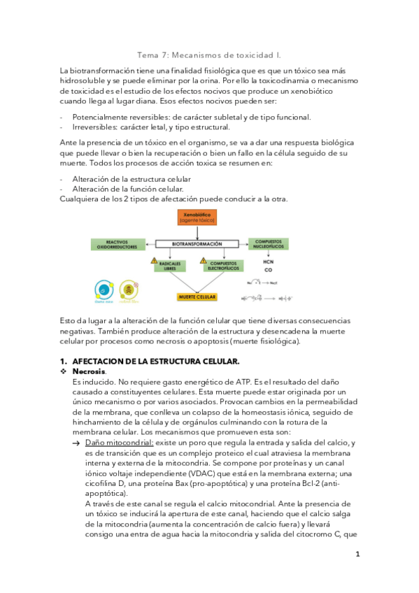 Miniatura del documento Tema-7.pdf