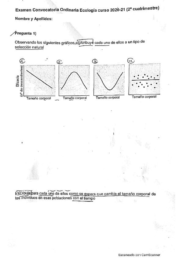 Miniatura del documento EX-ECO-MAYO-2021.pdf