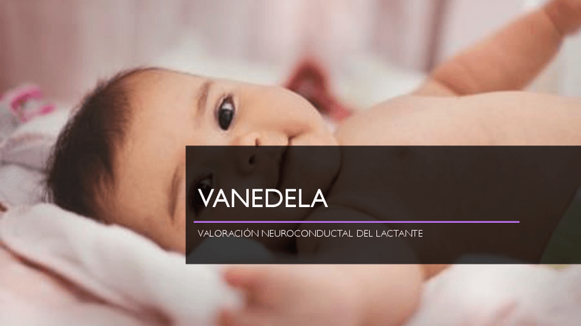 Miniatura del documento Vanedela.pdf