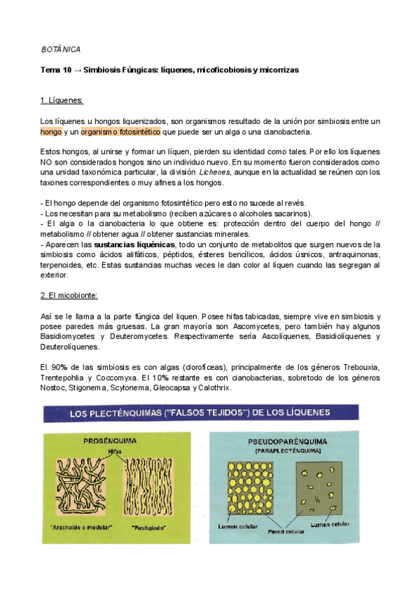 Miniatura del documento Tema-10-Botanica.pdf