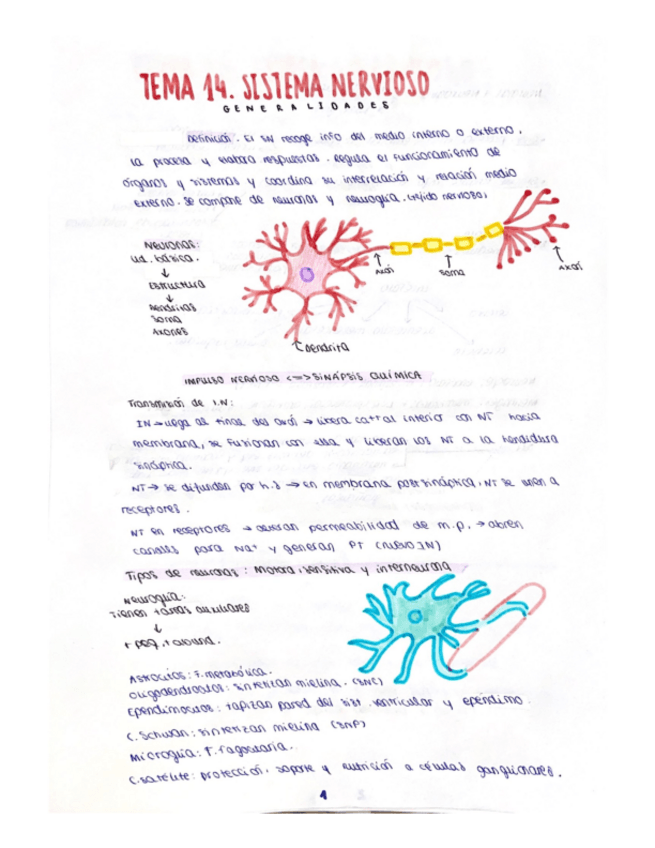 Miniatura del documento tema-14-26.pdf