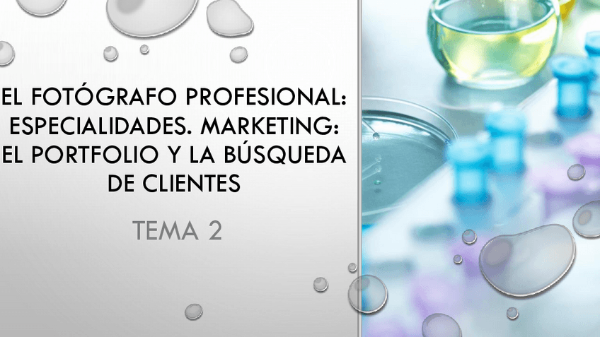 Miniatura del documento PF-T2-El-fotografo-profesional.pdf