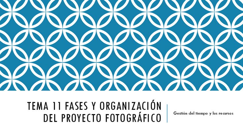 Miniatura del documento PFT11-12-FASES-Y-ORGANIZACION-DEL-PROYECTO-FOTOGRAFICO.pdf
