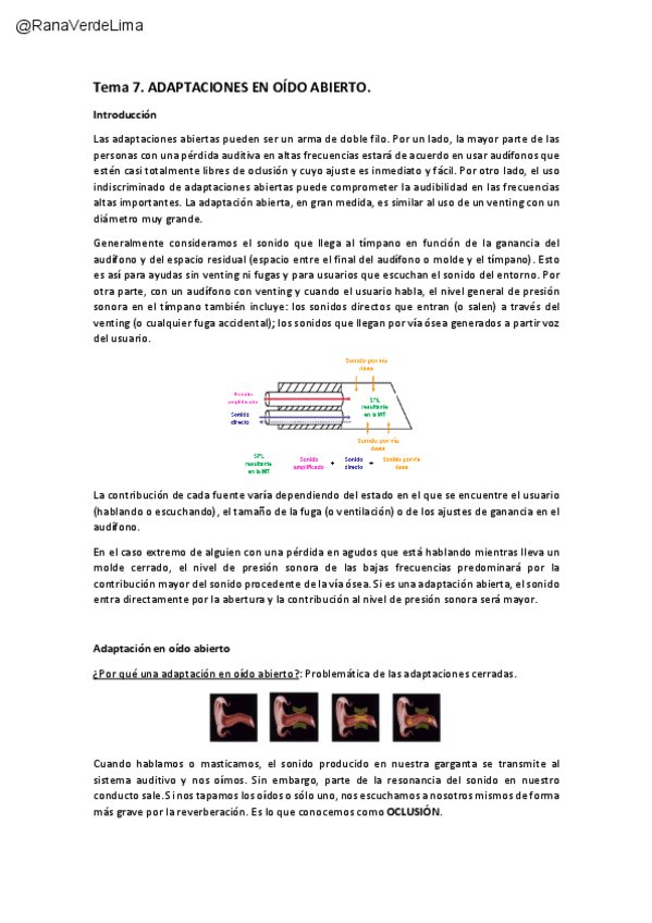 Miniatura del documento Adaptacion-abierta.pdf