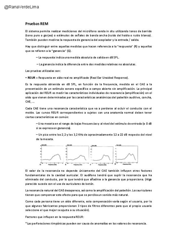 Miniatura del documento Pruebas-REM.pdf