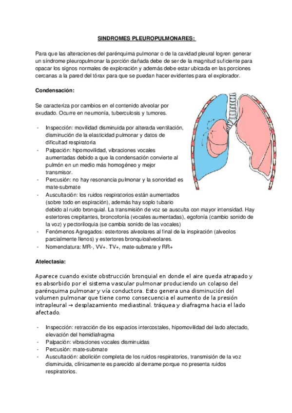 Miniatura del documento SINDROMES-PLEUROPULMONARES.docx