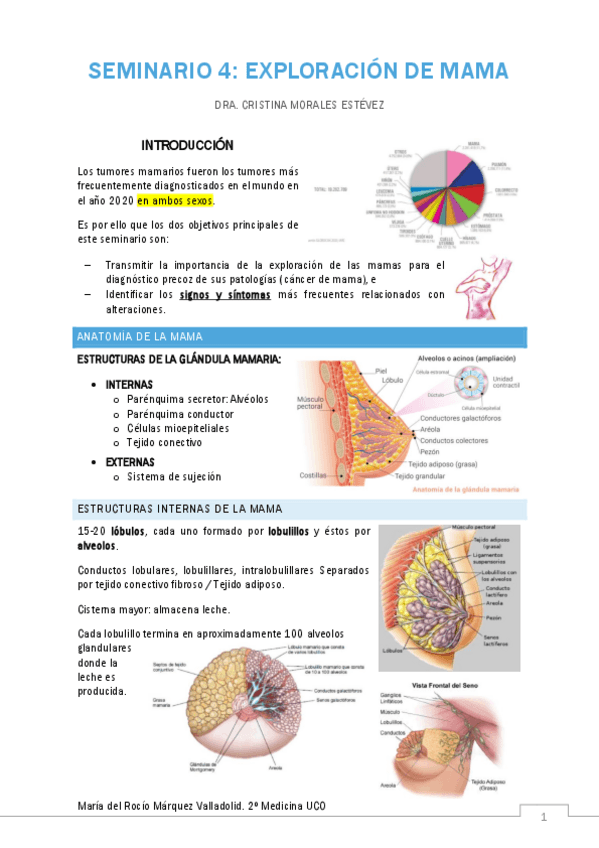 Miniatura del documento SEMINARIO-4.pdf