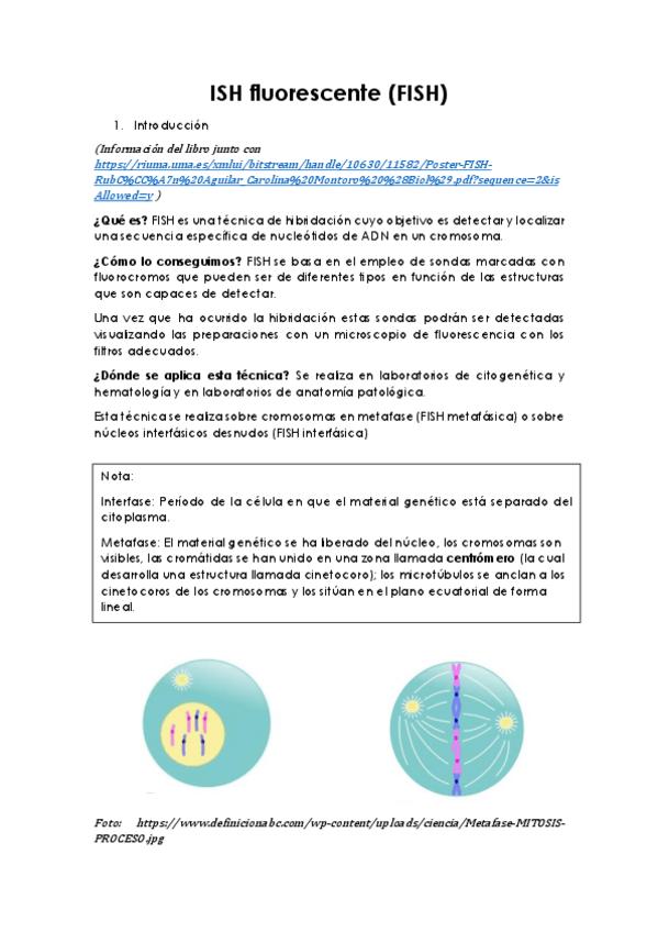 Miniatura del documento FISH.pdf