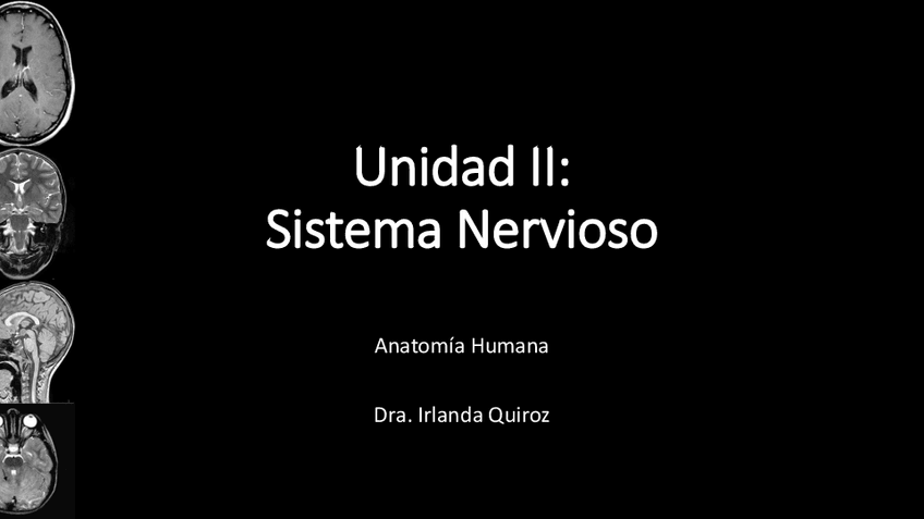 Miniatura del documento Unidad-II-Medula-Espinal.pdf