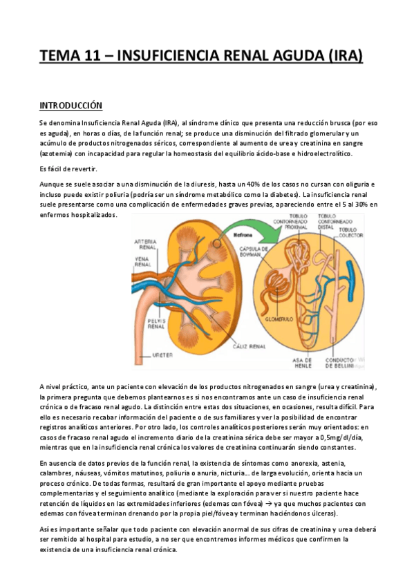 Miniatura del documento TEMA-12-INSUFICIENCIA-RENAL-AGUDA.pdf