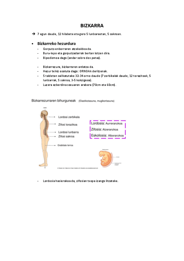 Miniatura del documento BIZKARRA.pdf
