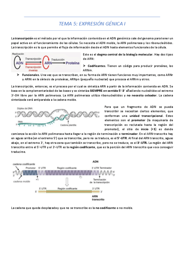 Miniatura del documento TEMA-5.pdf