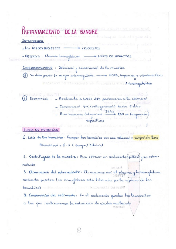 Miniatura del documento Tema-3-Biologia-Molecular.pdf