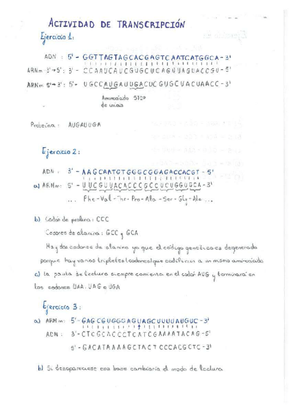 Miniatura del documento Resolucion-Actividad-transcripcion.pdf