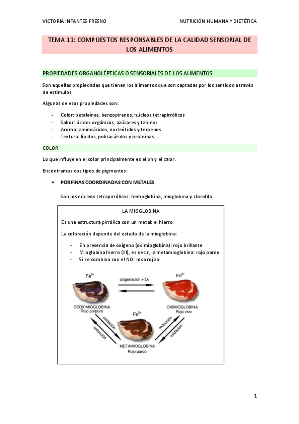 Miniatura del documento TEMA 11.pdf