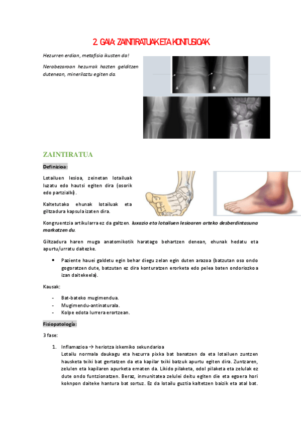 Miniatura del documento 2.pdf