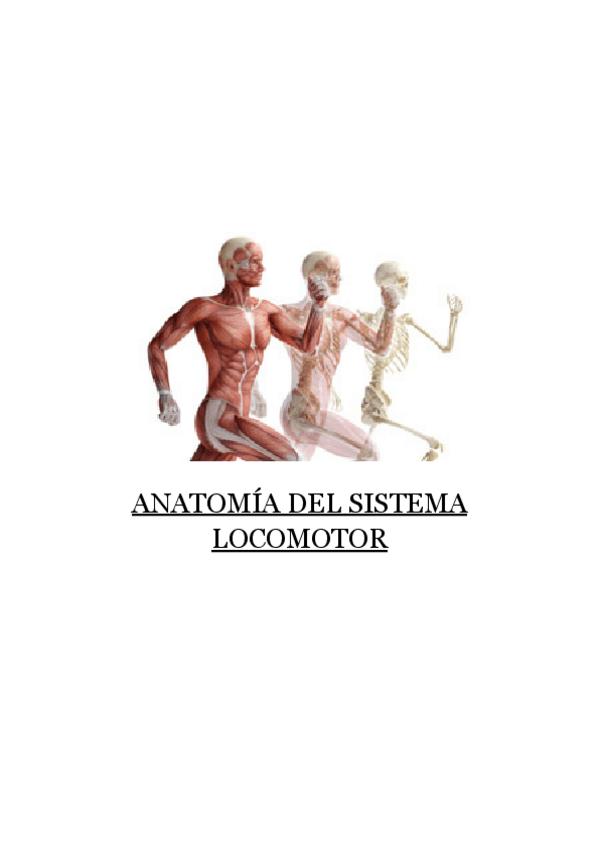 Miniatura del documento anato-locomotor-todo.pdf