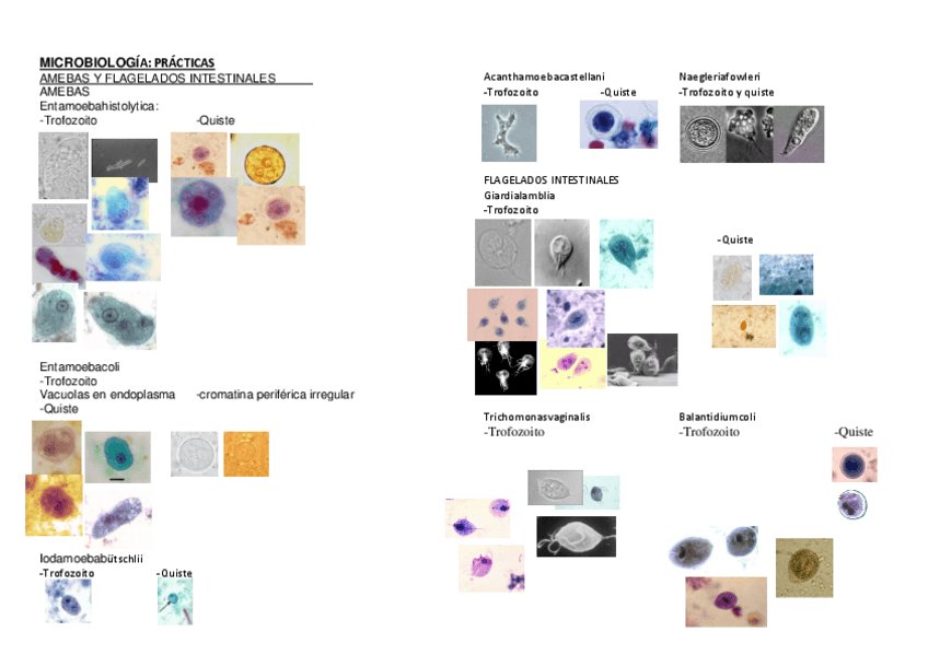 Miniatura del documento 4.pdf