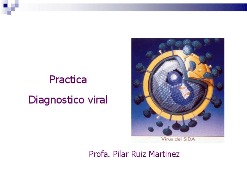Miniatura del documento Practica-Virus2018-2019.pdf