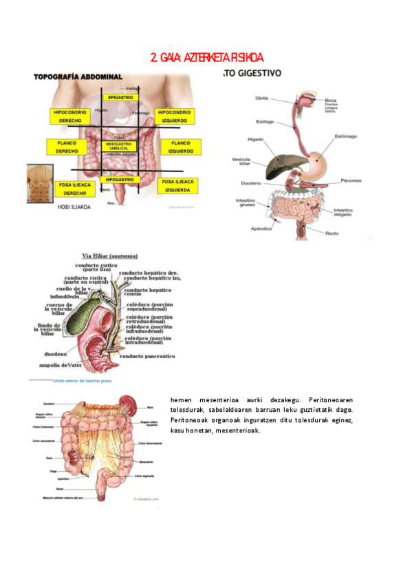 Miniatura del documento 2.pdf