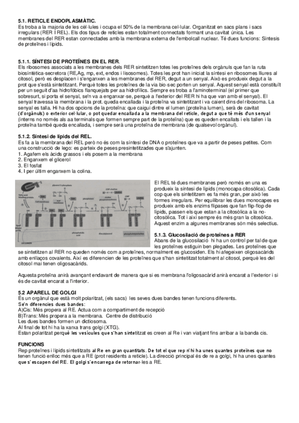 Miniatura del documento Tema-5-Cellular.pdf